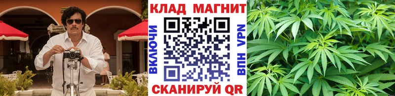 Все наркотики Сергач Псилоцибиновые грибы  Кодеин  гидра tor  ГАШ  COCAIN  Каннабис  Меф мяу мяу 