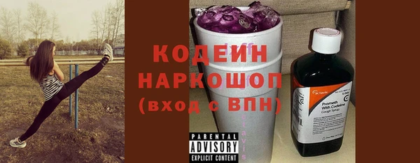 твердый Новозыбков