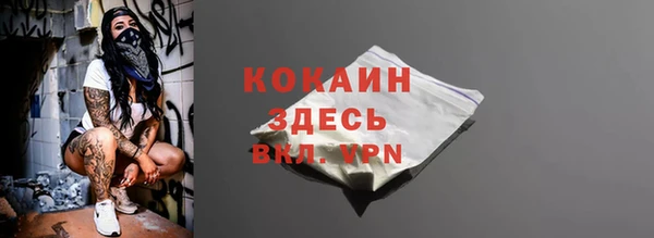 твердый Новозыбков