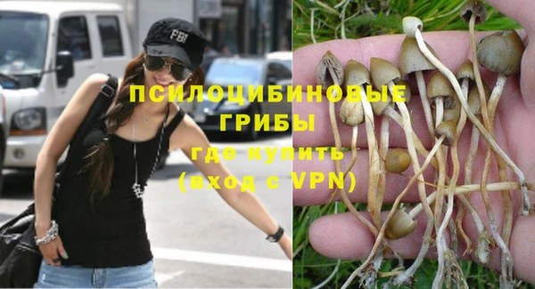 mdpv Новокубанск