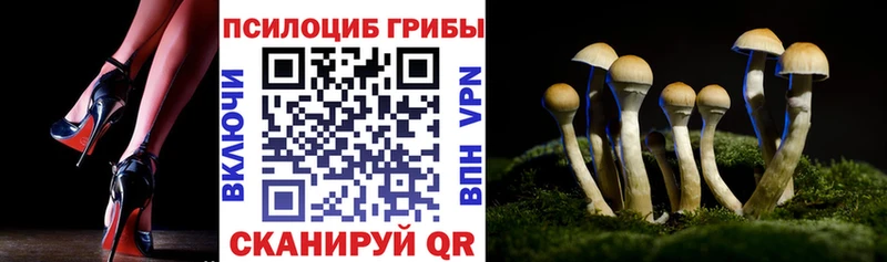 Галлюциногенные грибы ЛСД  наркошоп  МЕГА ТОР  Сергач 