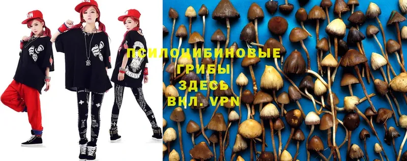 Псилоцибиновые грибы Psilocybe  купить  сайты  ссылка на мегу ТОР  Сергач 